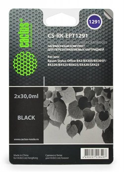 (1001547) Заправка для перезаправляемых картриджей CACTUS CS-RK-EPT1291 для Epson Stylus  B42, черная, 2x30мл CS-RK-EPT1291 - фото 16623
