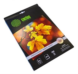 (1001538) Фотобумага Cactus CS-SMA628020 Professional шелковисто-матовая (сатин) 10x15 280 г/ м2 20 листов CS-SMA628020 - фото 7557