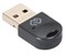 (1027675) Адаптер USB Digma D-BT300 Bluetooth 3.0+EDR class 2 10м черный D-BT300 - фото 35926
